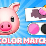 Color Match