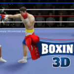 Boxing 3D